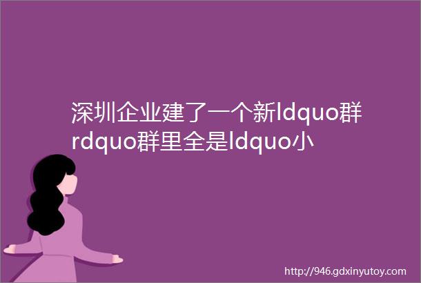 深圳企业建了一个新ldquo群rdquo群里全是ldquo小巨人rdquo